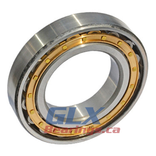 N220 EM Cylindrical Roller Bearing 100x180x34mm | GLX Bearings Canada