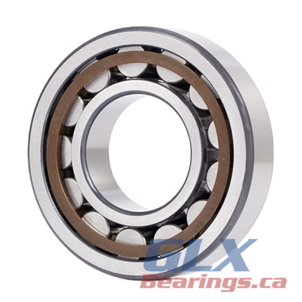 N311 ECP Cylindrical Roller Bearing 55x120x29mm | GLX Bearings Canada