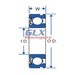 Deep Groove Ball Bearings ZN | GLX Bearings Canada